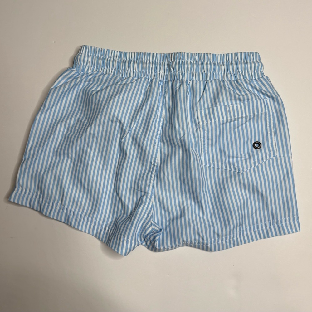 Roller Rabbit Light Blue Striped Shorts - Picture 2 of 3